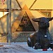 ХУТОРОК в городе Харцызск