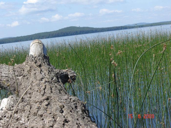 Озеро Окункуль