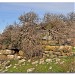 Nuraghe Fraigas