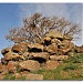 Sommità del nuraghe Culzu