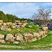 Nuraghe Spirito Santo