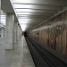 Tsaritsyno Metro Station