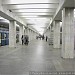 Tsaritsyno Metro Station