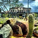 Praça Euclides da Cunha (Praça do Internacional) na Recife city