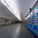 Mendeleyevskaya Metro Station in Moscow city