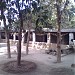 PCI Loom Masinpar