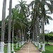 Paseo de las Palmeras en la ciudad de Villahermosa