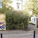 Wertstoffcontainerstandplatz- Bischofsweg 22 in Stadt Dresden