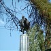 Мемориал погибшим в ВОВ с Вечным огнём в городе Аткарск