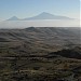 Lesser Ararat
