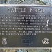 Cattle Point