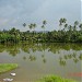 Kavunnukulam in Pattambi city