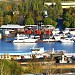 Хлебниковский затон в городе Долгопрудный