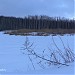 Пруд в Щепкинском лесу в городе Ростов-на-Дону