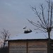 Альтанка в місті Вишгород
