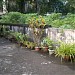 Avicot Thekkethil House (Late Dr. Zachariah Mathew Kripanagar 107)