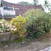 Avicot Thekkethil House (Late Dr. Zachariah Mathew Kripanagar 107)