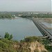 Ropar wetland ( Ropar Lake )