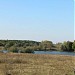 Ставок Красный в городе Синельниково