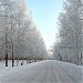 Аллея на  улице Пионерская в городе Нижневартовск