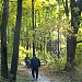 Carolina Woods Park in Municipality of Leamington, Ontario city