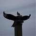 The Johan Friis Eagle in Port Alberni, British Columbia city