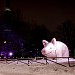 Piggy :) in Moscow city