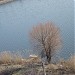Озеро Рыбачье в городе Хмельницкий