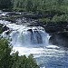 Stabbursdalen nasjonalpark