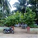 South Thamarai Kulam Bathirakazhi Amman Hindu Temple