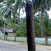 South Thamarai Kulam Bathirakazhi Amman Hindu Temple