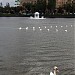 Лебединое озеро в городе Астрахань