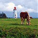 Prince Edward Island