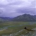 Arctic National Wildlife Refuge (ANWR)