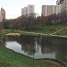 Pond at the bottom land of Ivnitsa river