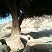 علب حطـــــــــــروم