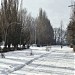 Аллеи в городе Шахтёрск