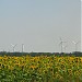 Novoazovsk Wind Farm part 1