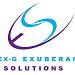 Nex-G Exuberant Solutions Pvt. Ltd. in Noida city