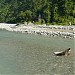 Haidakhan Village, Nainital