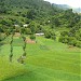 Haidakhan Village, Nainital