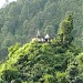 Haidakhan Village, Nainital