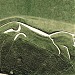 Cheval blanc d'Uffington