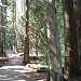 West Shawnigan Lake Provincial Park