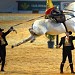 Royal Andalusian School of Equestrian Art