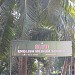 OLIVE SCHOOL