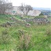 Nuraghe e villaggio nuragico di Santa Caterina