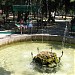 Центральный сквер в городе Форос
