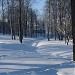 Городской парк в городе Истра
