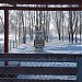 Площадка для дрессировки собак в городе Истра
